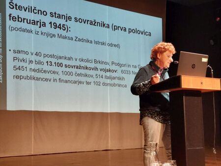 Vlasta Beltram o civilnih žrtvah in škodi (2)